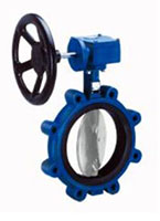 6 Inch (in) Size Butterfly Valve (020-003538)