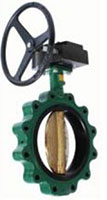 3 Inch (in) Size Butterfly Valve (020-029829)
